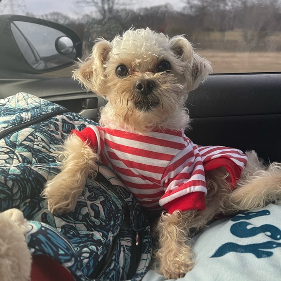 Meet your Posher, Jessica - Picture 4 of 4